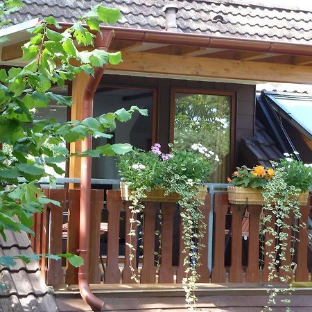 Haus Schwalbennest Apartment Undeloh Bagian luar foto